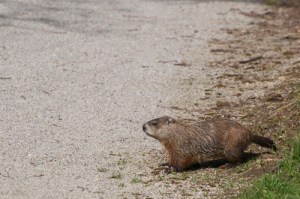 OH, OK - I'LL FIND SOME PLACE ELSE...