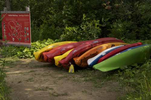 NO!  NO!   NOT THIS ONE.........