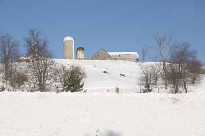 WINTER FARM