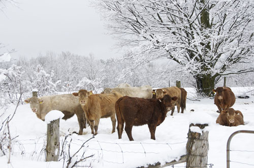 SO, WHAT DO YOU WANT?