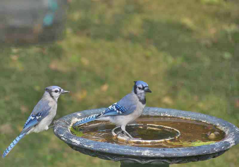 OH, HE LOOKS SO HANDSOME